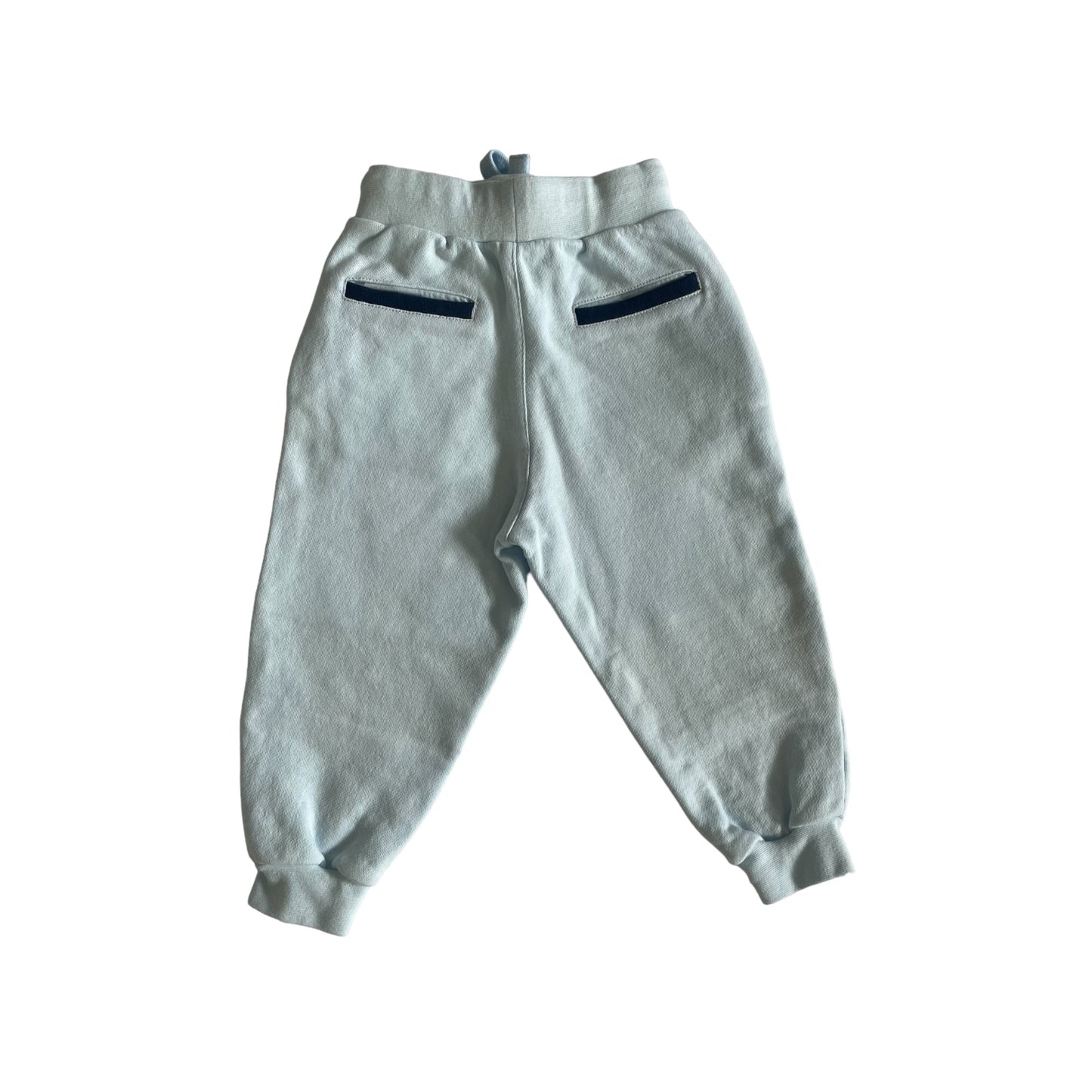 Blue Moto Jogger Pant